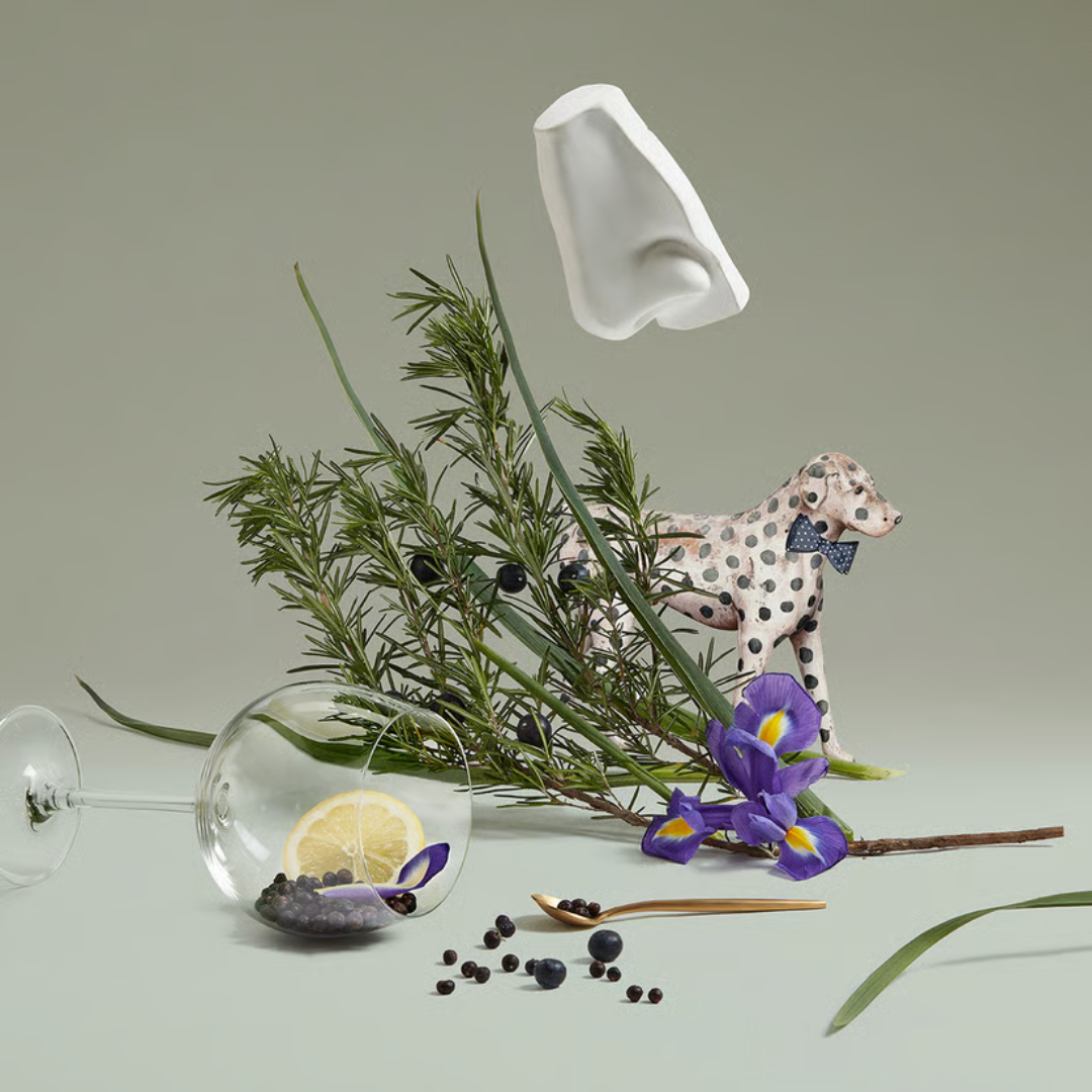 Juniper Sling بنهالغنز
